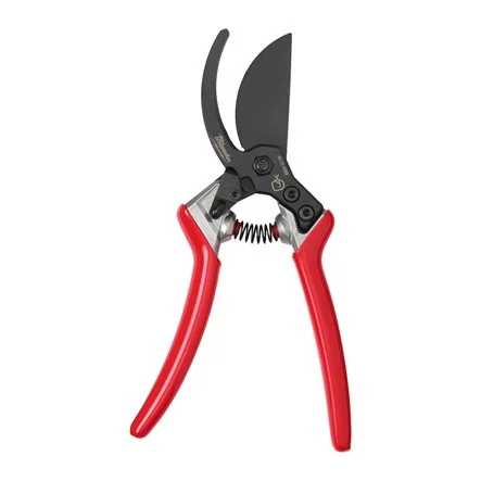4932498621 FOARFECA CRENGI 25MM