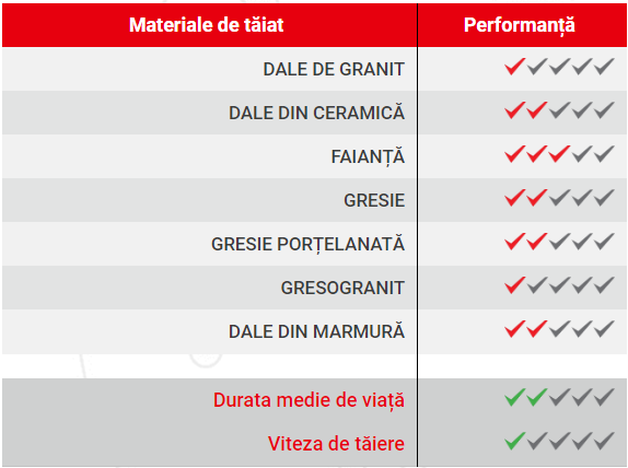 DISC DIAM CONTINUU MAXON MCS125C - imagine 2